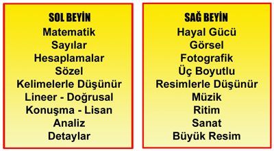 Beynin Her iki Yarım Küresini Kullanarak İşlem Yapmak Nedir?